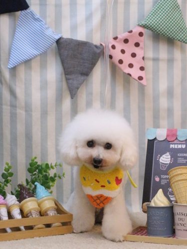 20250513チュッチュくん